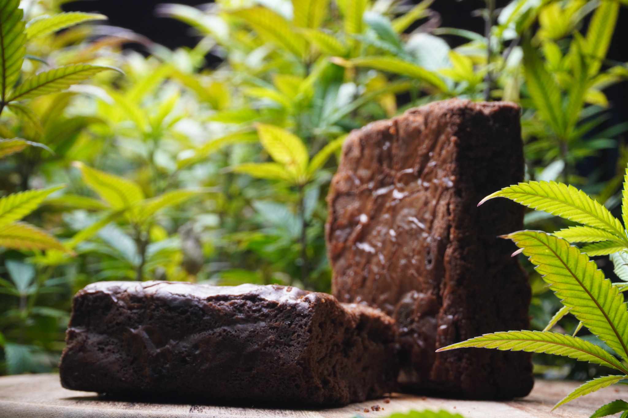 5cm by 5cm Brownies - Image 2