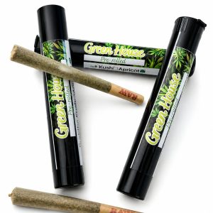 Kingsize GH Preroll